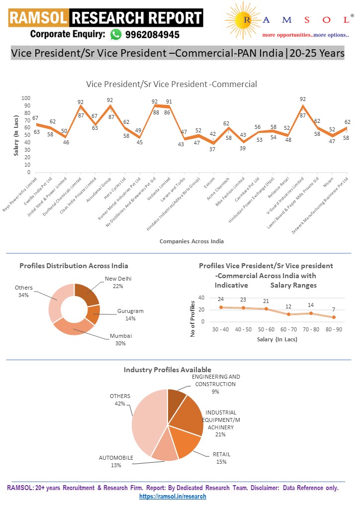 RAMSOLRESEARCHREPORT.webp